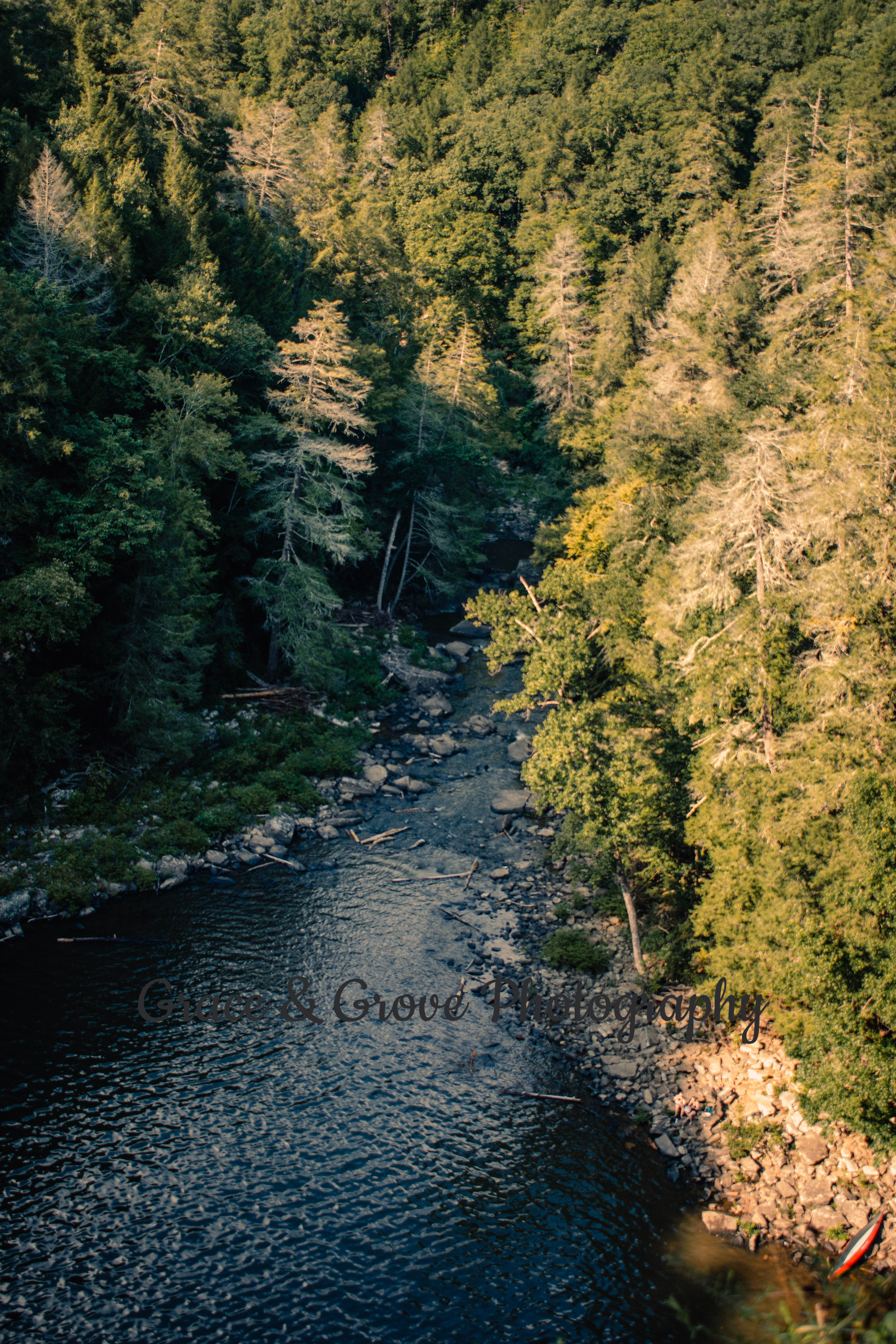 A peaceful river winding through the Tennessee wilderness, captured low along th