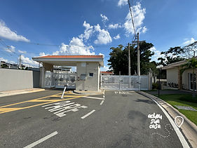 IMG_6367.jpg