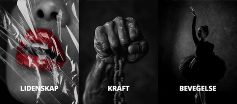 webdesign for Filmkraft