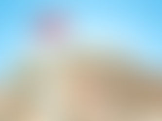 The National Debt Dilemma