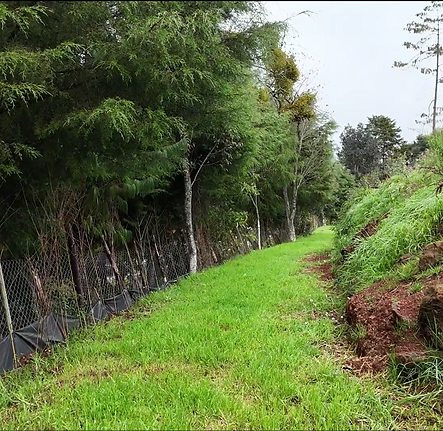 Captura de pantalla 2025-11-06 105128.png