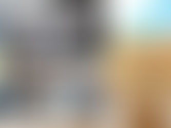 Moltiplicità di Carismi: insieme per costruire il futuro