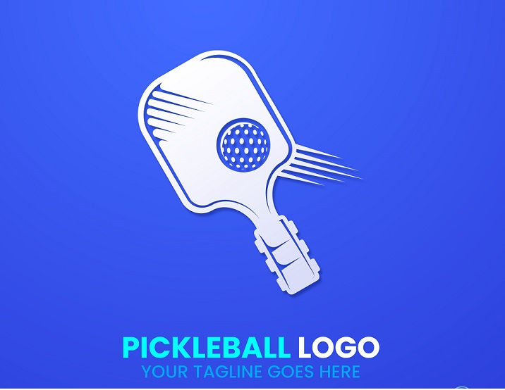Best beginner pickleball paddles
