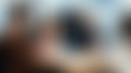 HR Consulting Services for Small Business: Your Complete Guide to Building a Strong HR Foundation