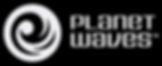 Planet Wave - Brian Quinn