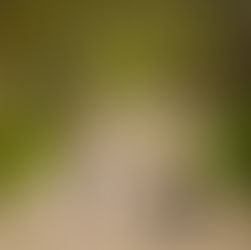 Идеальный отдых с контрактными предложениями Six Senses Kanuhura в 2026 году