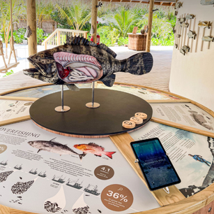 Жизнь в Лааму: Океанские Тайны, Мировые Звезды и Невероятные Открытия от Maldives Underwater Initiative (апрель 2025)!