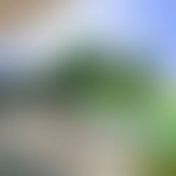 25% скидка на проживание в люксовом курорте The Oberoi Beach Resort, Al Zorah 5*, Аджман, ОАЭ осенью