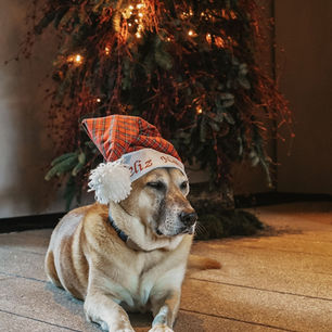 Новогоднее волшебство от Six Senses Douro Valley на просторах живописной долины Дору, Португалия