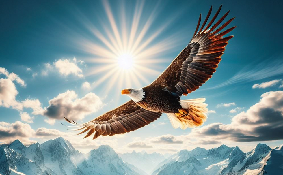 VOYAGE CHAMANIQUE - Le réveil de l'Aigle : activez votre vision intérieure