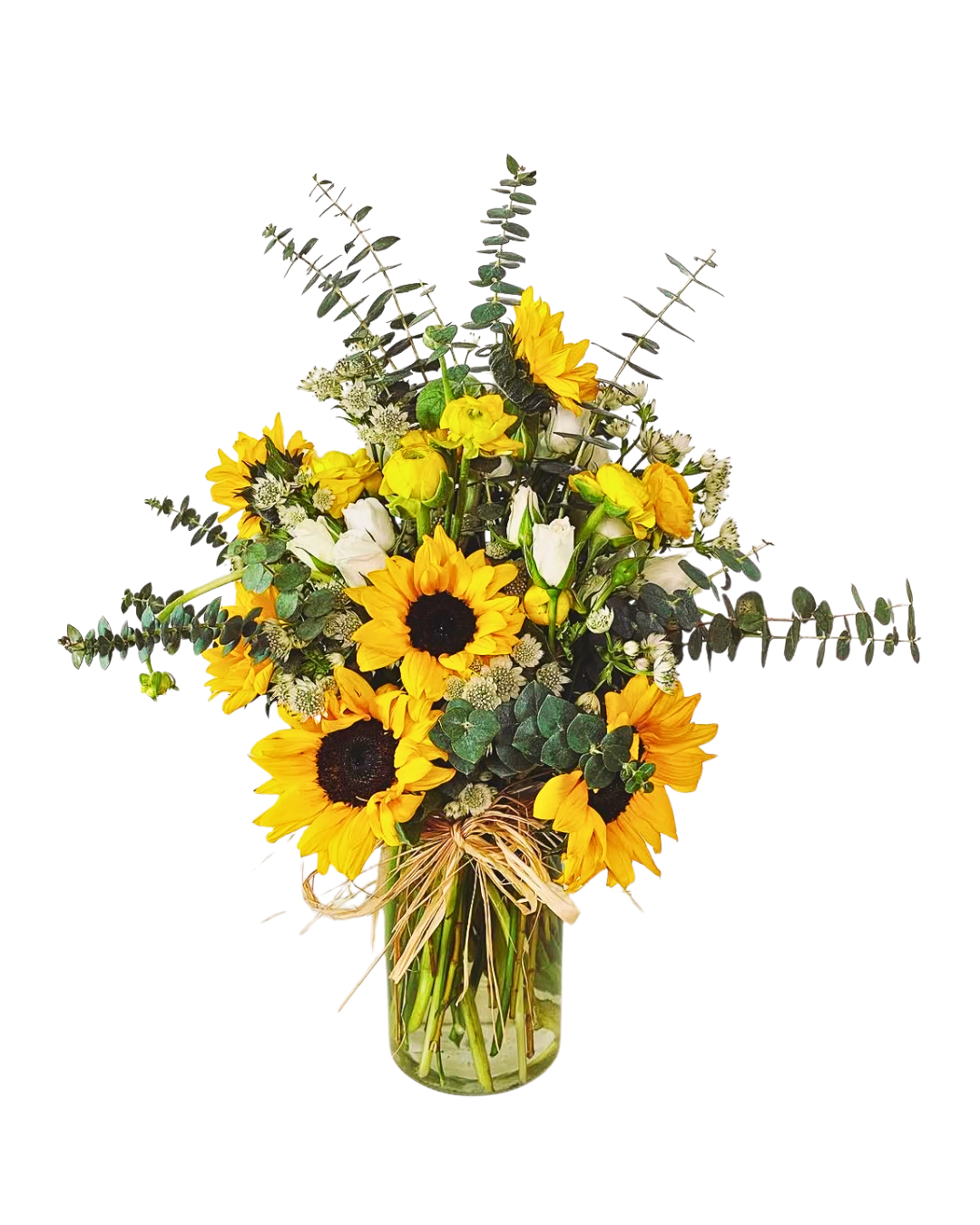 Sunshine Botanica