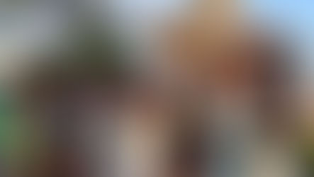 Faire un IRONMAN avant mes 50 ans !