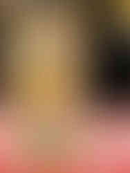 Budapest - Golden Apple Palinka