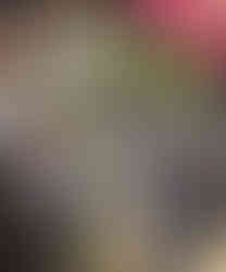 Budapest - Local Market - Fresh Figs