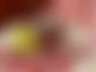 Budapest - Chicken Paprikash condiments