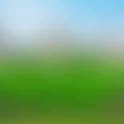 Szechenyi Thermal Bath Main entrance - Budapest, Hungary