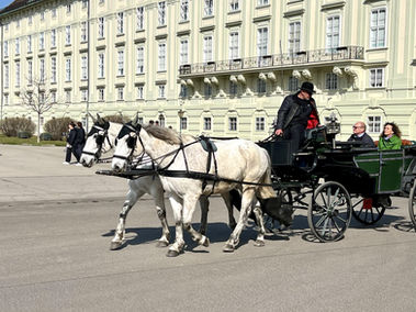 Carriage Ride - Heldenplatz - Vienna, Austria