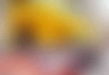 The courtyard of the hospital where Vincent Van Gogh stayed in Arles, France