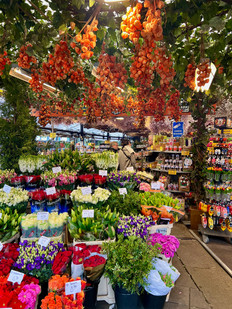 Flower and Garden shop - Amsterdam - Netherlands