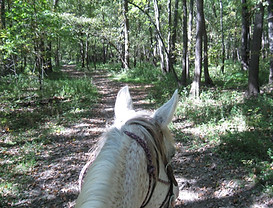 trails+with++zoe.jpg