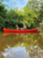 Slipstream Inspie 14 with Dog