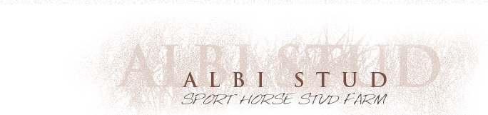 Albi Stud