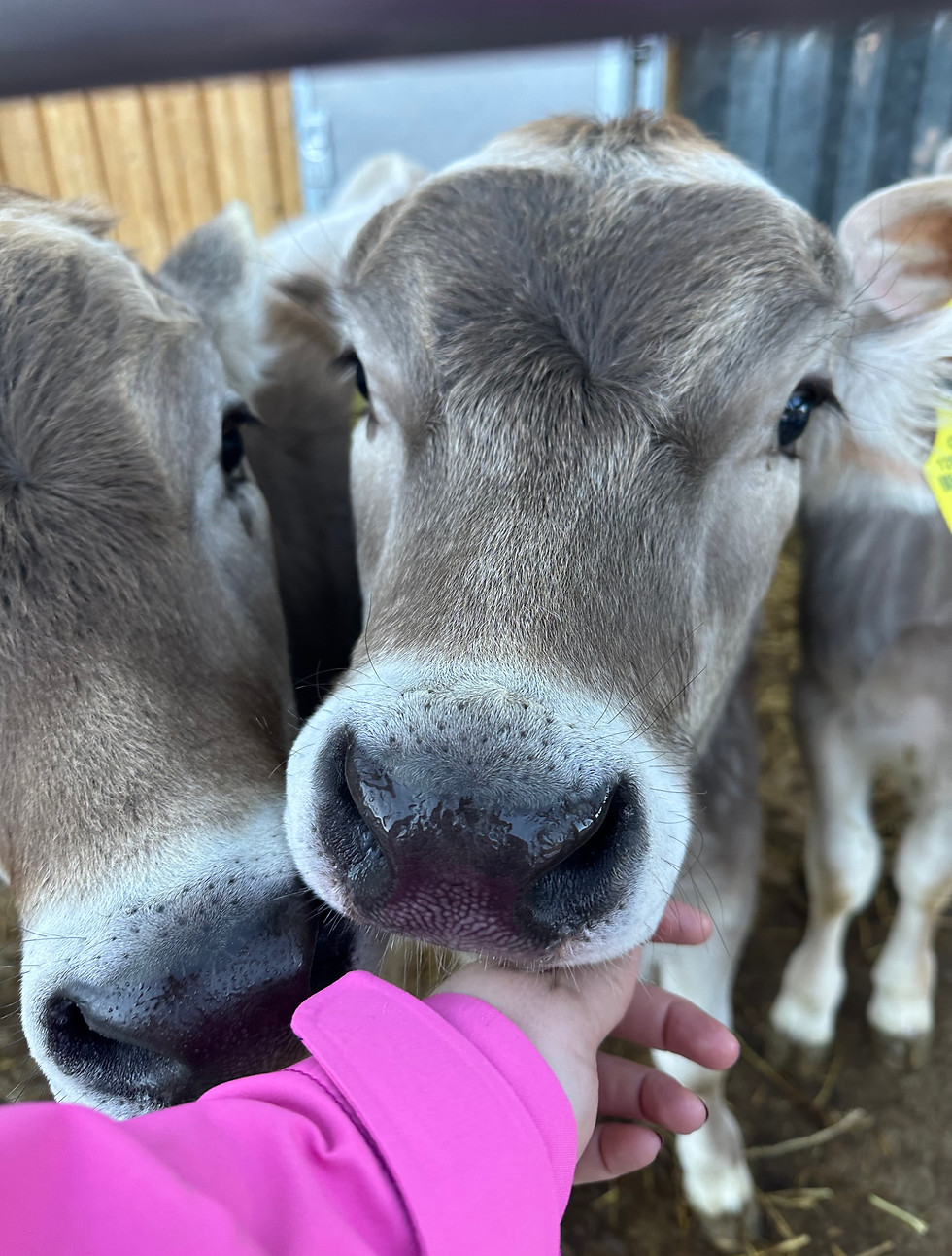 foto 29.12.24, 15 29 29.jpg