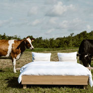 Duurzaam met ... Lavital