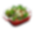 Italian Salad