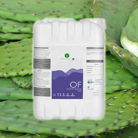 Extracto de Nopal: La Solución Biotecnológica para la Resiliencia Hídrica y Protección de Cultivos