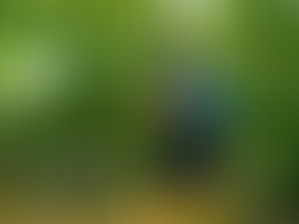 ¿Qué son los Fungicidas Botánicos?; una Alternativa Eficaz y Sostenible