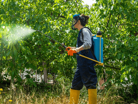 ¿Qué son los Fungicidas Botánicos?; una Alternativa Eficaz y Sostenible