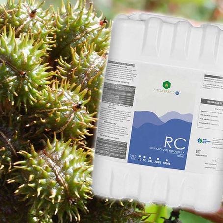 Extracto de Higuerilla: Activo para la Formulación de Nematocidas e Insecticidas Industriales