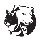 Writer: Jones Animal Behavior