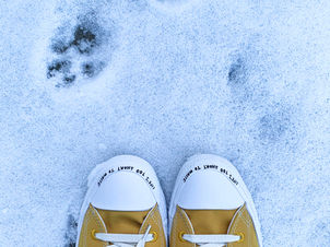 DAY 21 of '24 DAYS OF GIVING': Converse - Life's Too Short To Waste