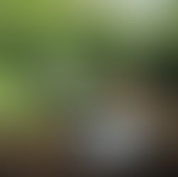 Bar of soap on soil with blurred green foliage. Text reads: "choose with purpose." Soap label says: "WE STAND/ for regeneration."