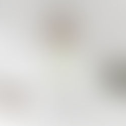 Top Interior Design Trends for 2026 Homes