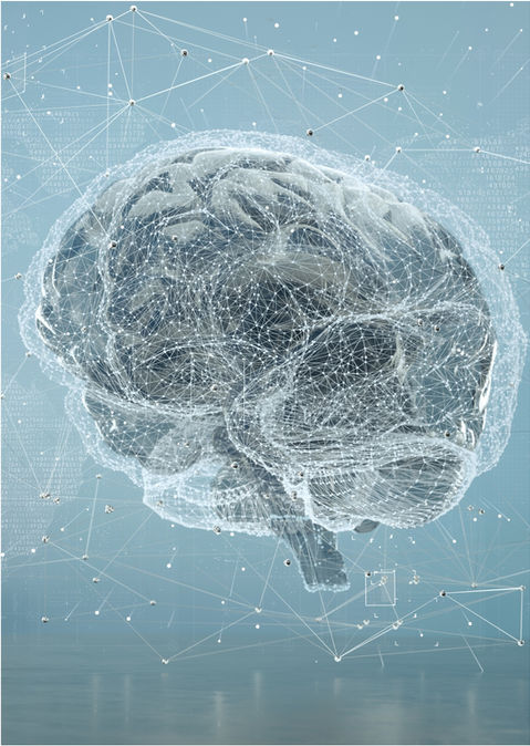 Brain.jpg
