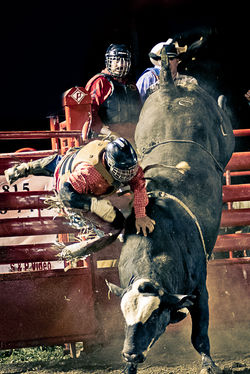 IMG_8688-Edit.jpg