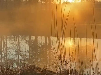 Oasis November Sunrise and Set