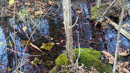 Farm Fables – In Between Times