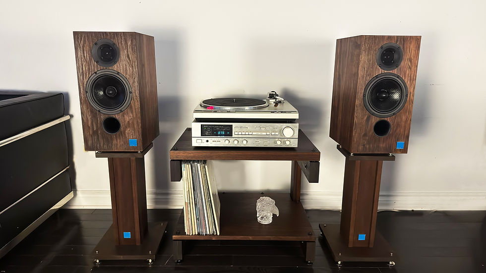 with stereo and speakers.jpg