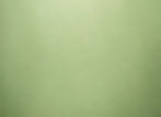 vintage-green-paper-texture-background_edited.jpg