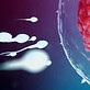 00-Inseminacao-Artificial-principal.jpg