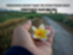 Hand holding a yellow-white flower on a country path, text reads "Forgiveness doesn't make the other person right, forgiveness makes you free."