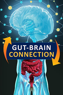 gutbrainaxis-1365x2048-3547521180.jpeg