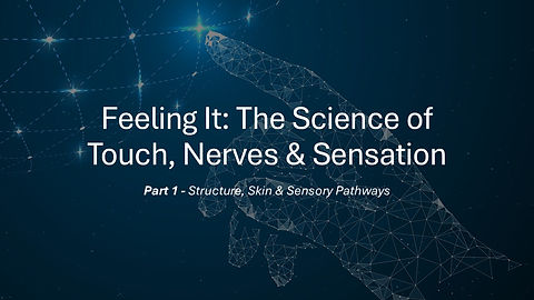 Sense_of_Touch_1- Title Slide.jpg