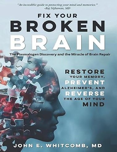 Fixing_a_Broken_Brain_.jpg