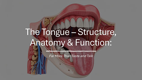 NEW_The_Tongue_Part_1_Title_Slide_Use.jpg
