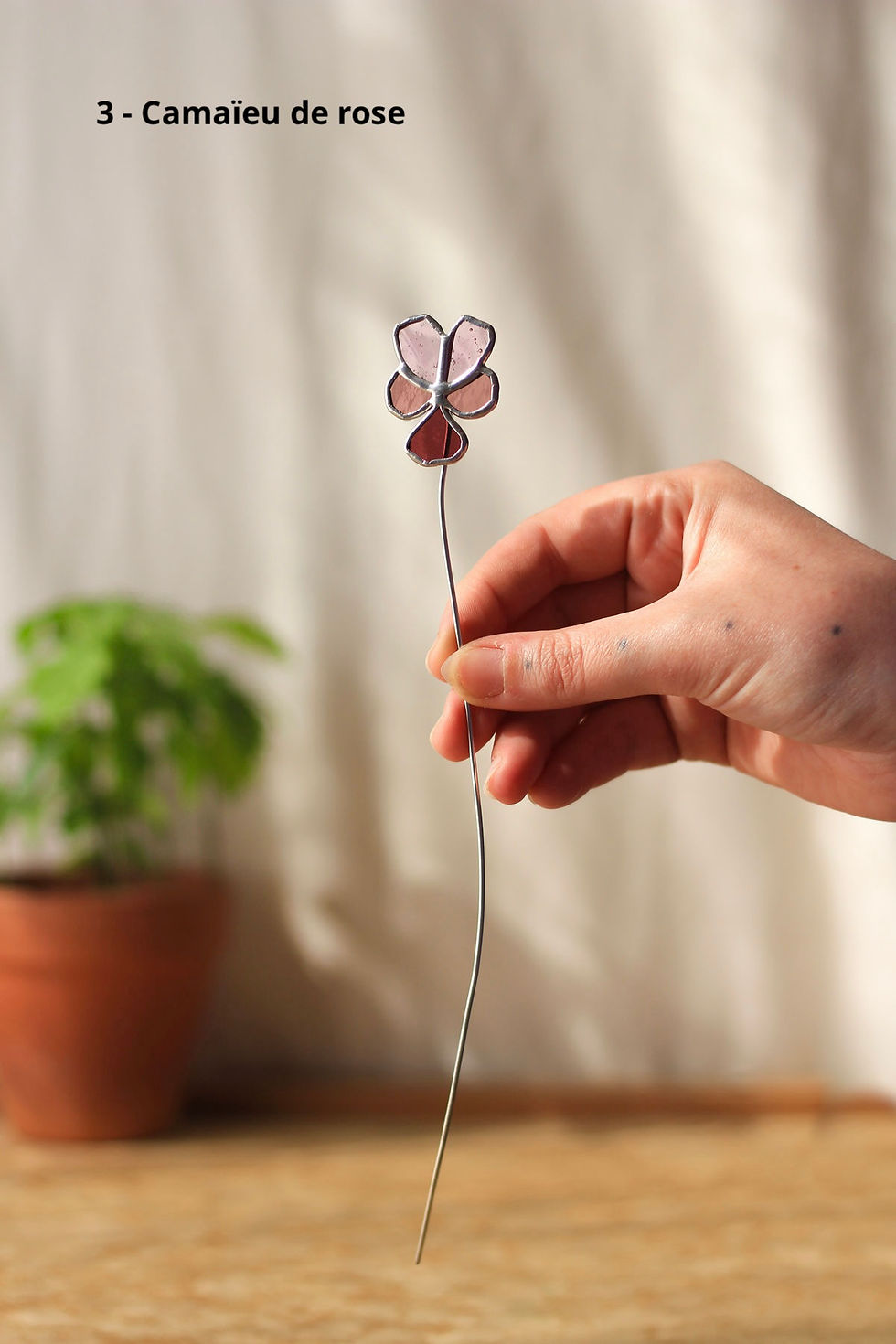 Miniature : Pensée 